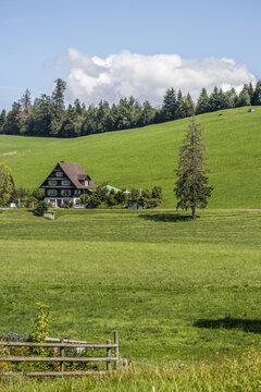 View of a charming, traditional chalet nestled on a vibrant green hillside beneath a bright blue sky dotted with fluffy white clouds, Zug, Switzerland.