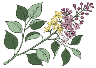 Botanical Vector Illustration with Green Leaves and Flowers