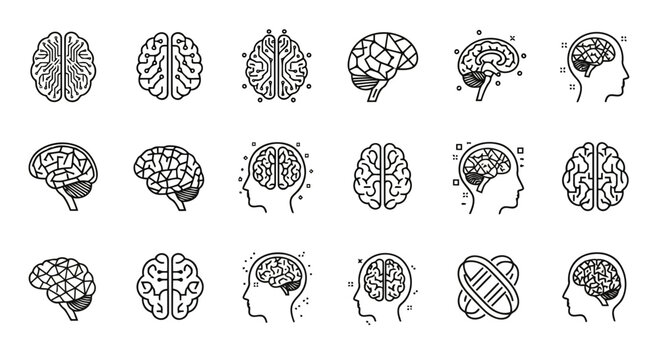 Illustration of various brain diagrams showing different perspectives and sections of the human brain