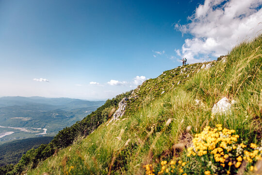 View of verdant hillside dotted with vibrant yellow flowers under a vast blue sky, with distant mountains fading into the horizon, Mala Ucka, Primorje-Gorski Kotar County, Croatia.