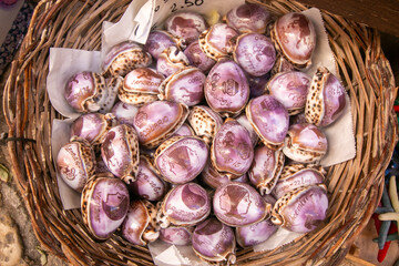 typical products Porto Cesareo Salento seaport in Puglia tourist center