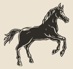 Black horse in motion