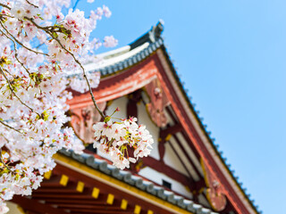 【奈良県】大和郡山市 矢田寺(金剛山寺) (2025/04/09撮影)