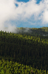 Vertical beautiful view of mountain full of trees, with clouds and blue sky