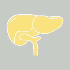 Liver icon desigbn