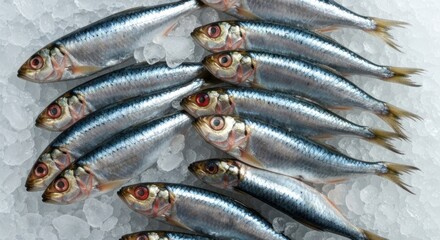 Close-up of fresh, silver fish on a bed of glistening ice