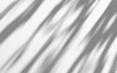 Fototapeta premium Abstract rays light effect on a transparent background. Shadow overlay on wall