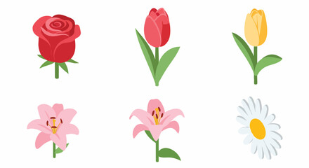 Isometric flat design flowers vector pack illustration set white background rose tulip lily daisy floral botanical