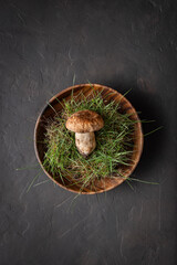 One porcini mushroom