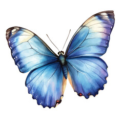 Hand-painted style, vectorized, vector set available in EPS An Elegant watercolor painting design_Watercolor_style_painting_of_a_blue_morpho_butterfly