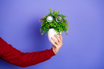 Young man holds a plant in a white pot wearing glasses against a purple background in a bold...