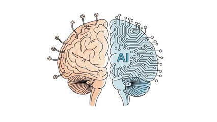 Human brain combined with artificial intelligence, representing cognitive computing and neural