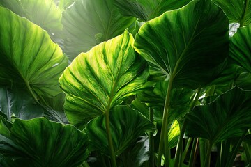 green leaf background