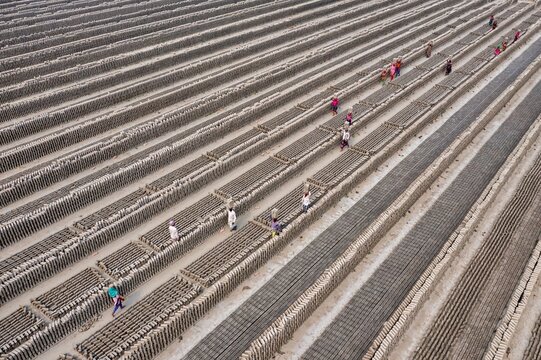 Aerial view of workers carrying bricks across the brickyard, a geometric pattern of gray and brown, reflecting the labor-intensive process, Dhaka, Dhaka Division, Bangladesh.