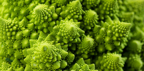 Romanesco broccoli cabbage or Roman Cauliflower abstract texture green background, macro shot....