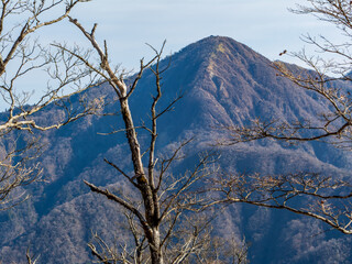 青ヶ岳山荘から蛭ヶ岳