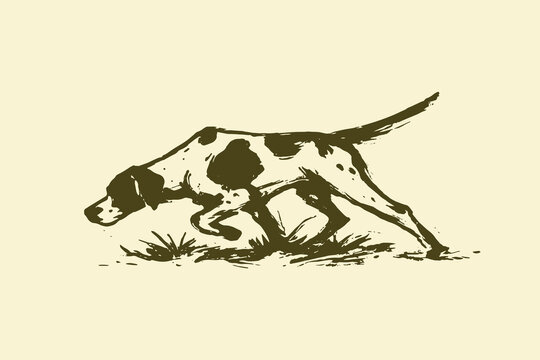 Hunting dog pointing vintage engraving style vector illustration