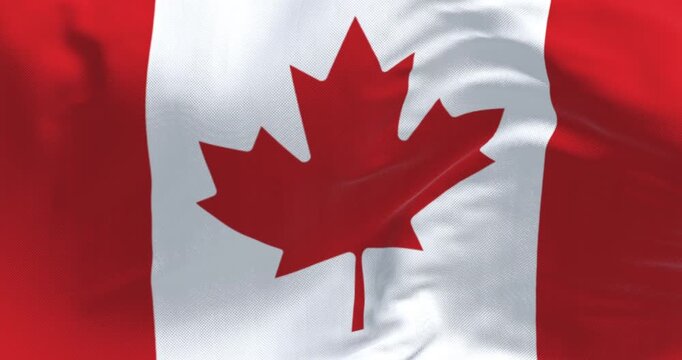 Close-up of Canada national flag waving in the wind on a clear day
