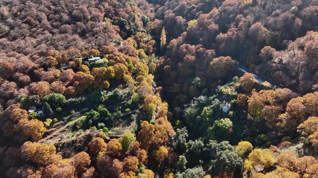 vista a&eacute;rea del frondoso bosque del cobre en el valle del Genal, Andaluc&iacute;a	