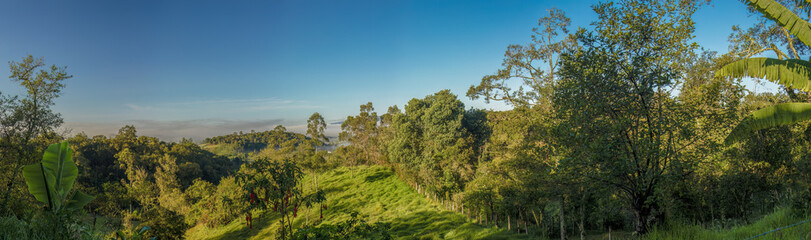 The first sunlight of the morning illuminates the grass fields and forests, in the eastern Andean mountains of central Colombia, near the Iguaque natural reserve.