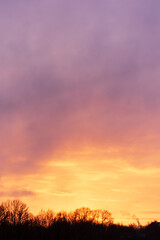 Intense twilight sky with smooth orange to violet color gradient and silhouetted trees