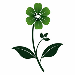  cerastium fontanum silhouette on white