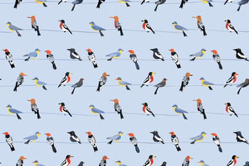 A colorful pattern of birds perched on electrical wires against a light blue sky