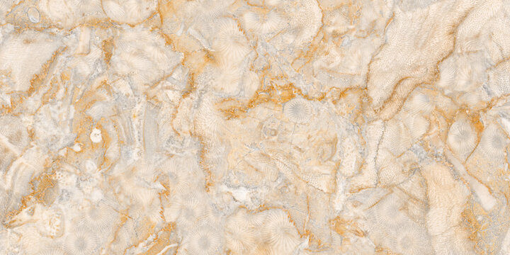 Beige marble texture background, Ivory tiles marbel stone surface, Close up ivory marble textured wall, Polished beige marble, Real natural marble stone texture and surface background.