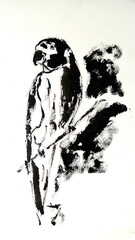 Minimal Black & White Bird Ink Illustration