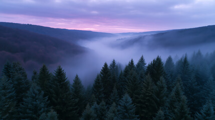 Misty forest landscape at dawn with purple sky and evergreen trees
