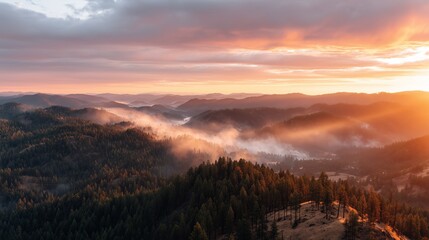 Fototapeta premium Sunset over hills with fog in the valleys and trees in the foreground