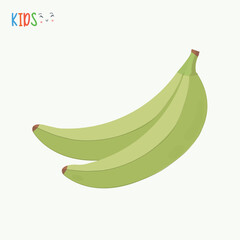 Two Green Unripe Bananas Fruit Vector Illustration.