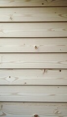 Obraz premium Aged wood wall, horizontal planks, rustic texture, light neutral tones, wood surface texture, natural wood texture