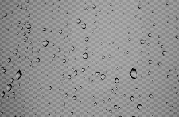 PNG Raindrops as an overlay background droplets transparent
