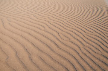 Fototapeta premium Natural designs and shapes in the sand, caused by the wind.