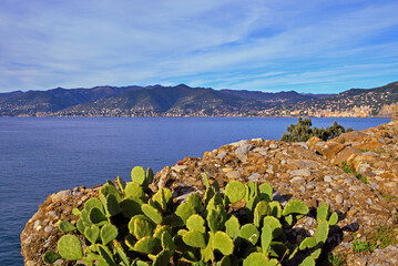 Panoramic view of Camogli and Punta Chiappa, in Liguria, Italy
