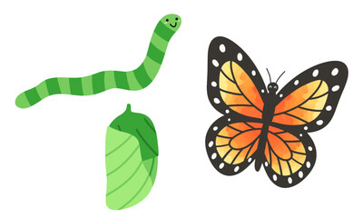 Cute caterpillar chrysalis and butterfly life cycle illustration set