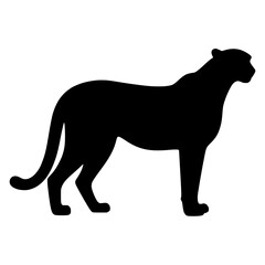 silhouette of a cheetah 