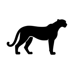 cheetah vector illustration