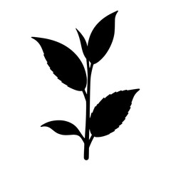 vector illustration of a tea leaves 