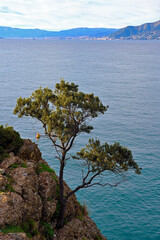 Punta Chiappa Camogli Liguria Italy