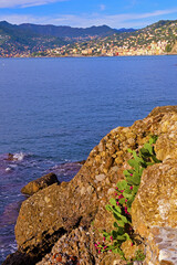Panoramic view of Camogli and Punta Chiappa, in Liguria, Italy