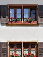 Old building facade with green ivy and light blue shutters