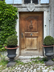 Rustic Wooden Door in an Ivy-Covered Stone Wall
