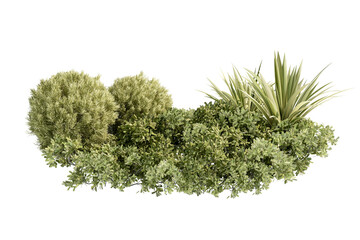 moss on a white background