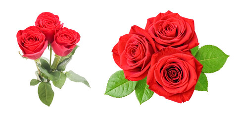 Fototapeta premium red roses bunch isolated on transparent background