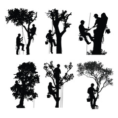 silhouette of people are cutting tree