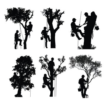 silhouette of people are cutting tree