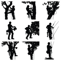 silhouette of people are cutting tree