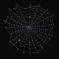 Obraz premium Minimalist Spiderweb with Dewdrops Vector Art , vector style simple color